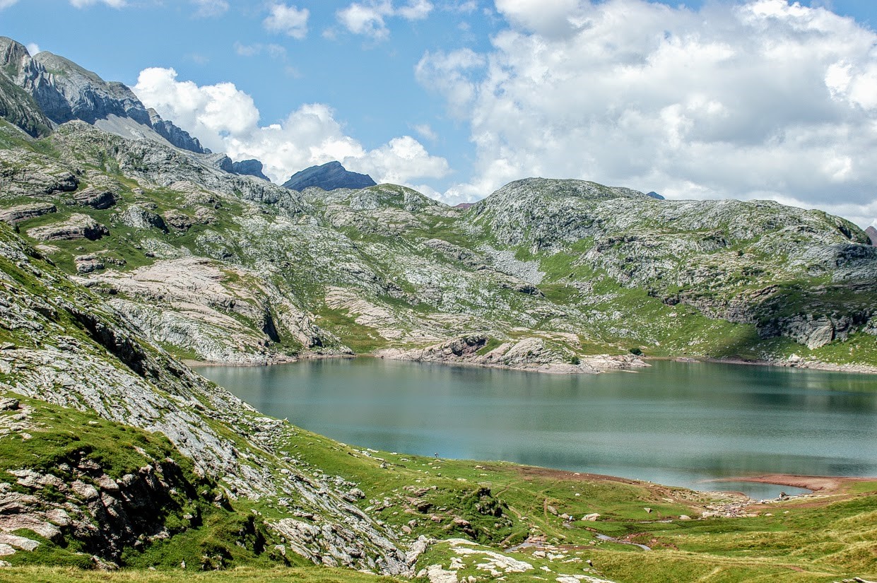 Ecosistemas de alta montaña Ecosistemas de alta montaña