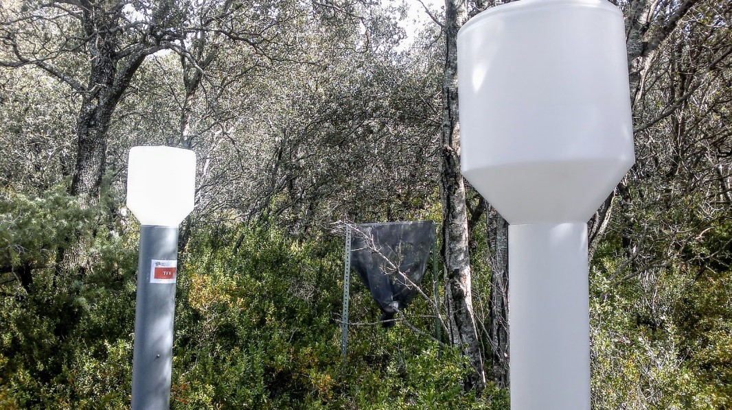 Impacto del depósito de Nitrógeno en zonas vulnerables españolas (INDOVA)