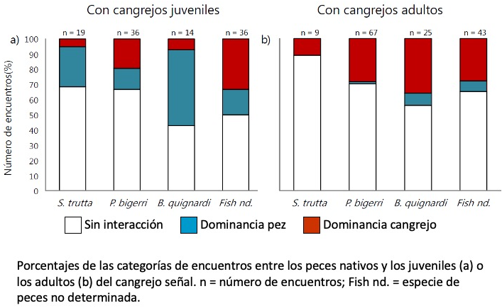 Cangrejo invasor
