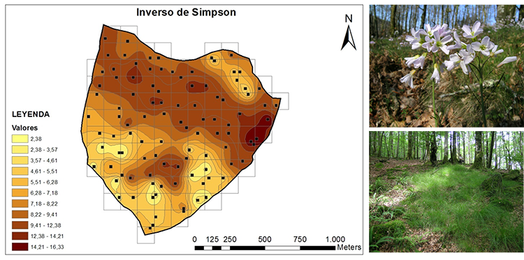 Análisis biogeoquímico de una cuenca forestal