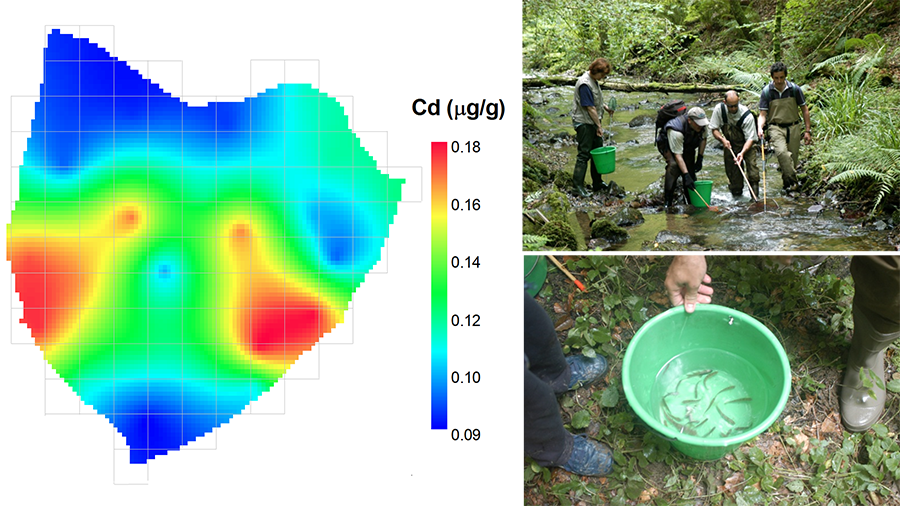 Análisis biogeoquímico de una cuenca forestal