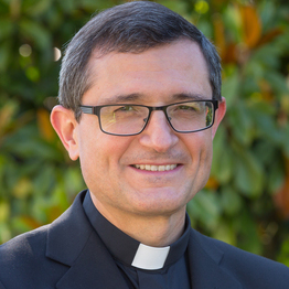 Prof. Manuel Mira